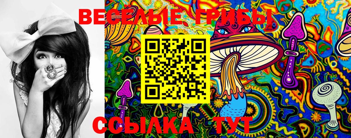 Торжок  Псилоцибиновые грибы ЛСД  Псилоцибиновые грибы MAGIC MUSHROOMS  Вход с VPN 